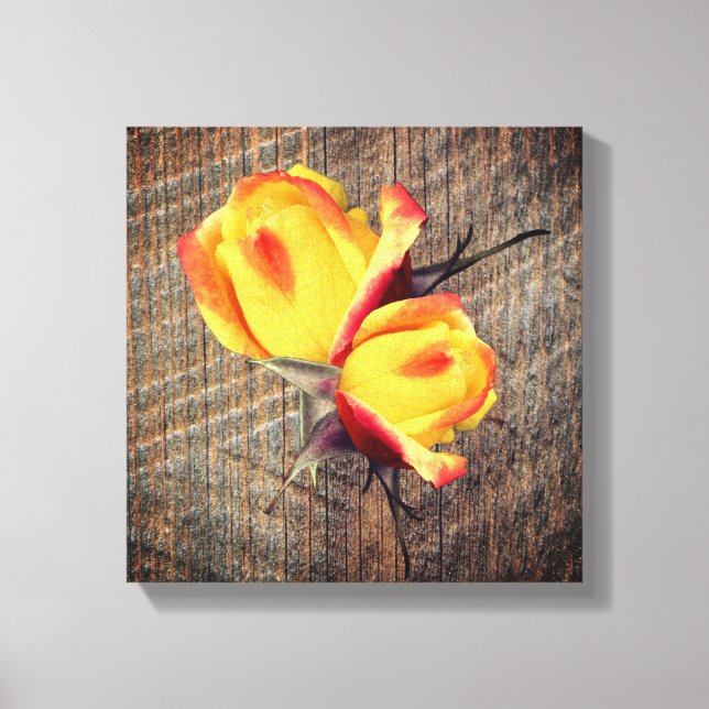 Yellow Rosebud Flowers On Barnboard  Canvas Print (Front)