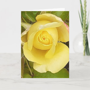 Yellow Rosebud Greeting Card