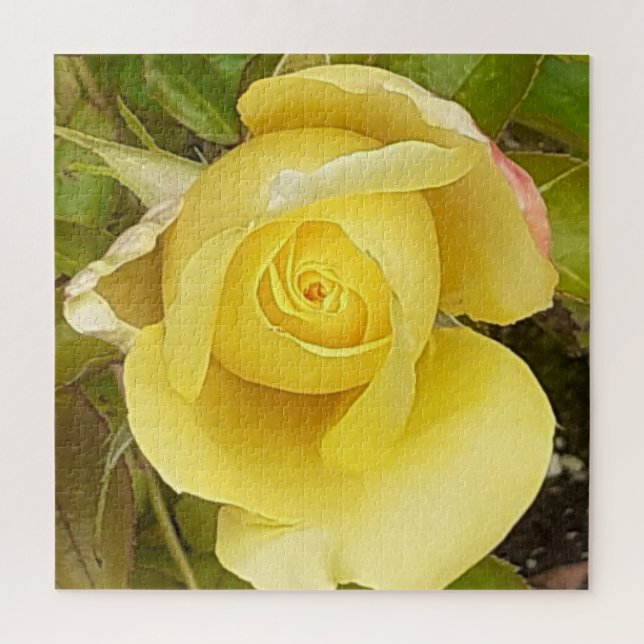 Yellow Rosebud Jigsaw Puzzle (Vertical)