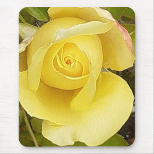 Yellow Rosebud Mouse Pad