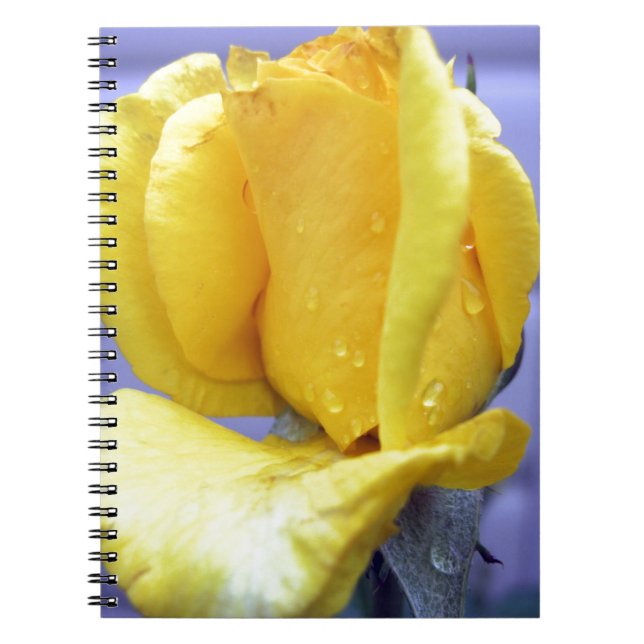 Yellow Rosebud Notebook (Front)