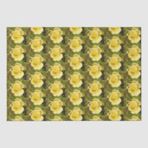 Yellow Rosebud Tissue Paper