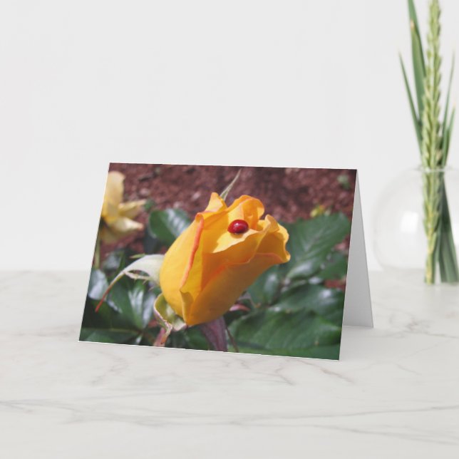 Yellow rosebud with ladybug card (Front)