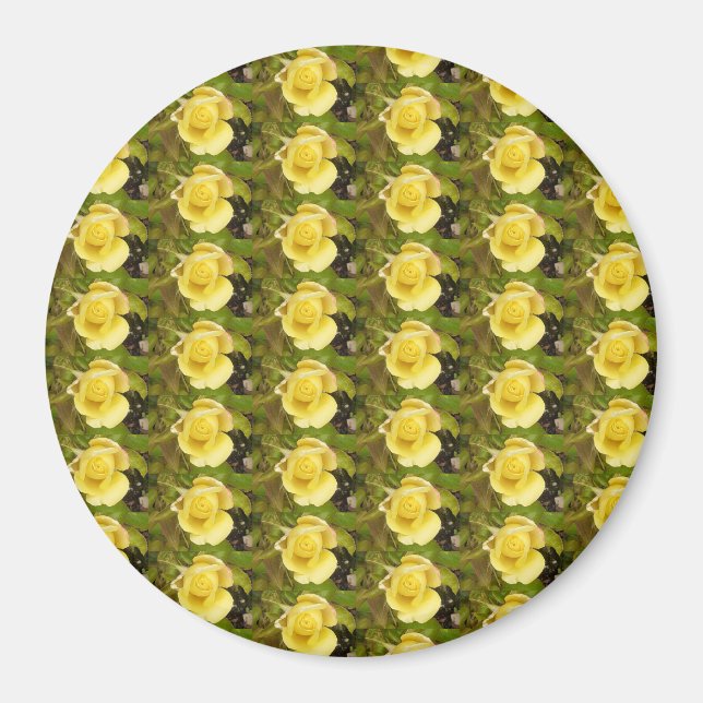 Yellow Rosebuds Magnet (Front)