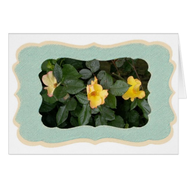 Yellow Roses (Front Horizontal)