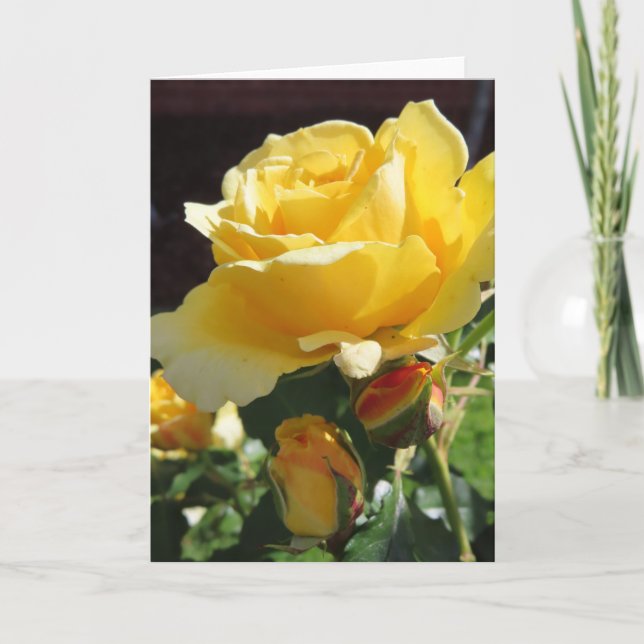 Yellow Roses Greeting Card (Front)