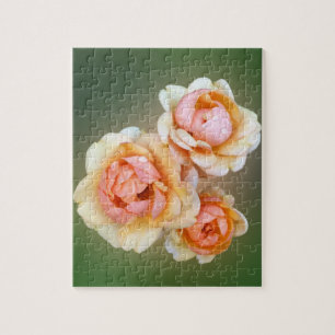 yellow roses jigsaw puzzle