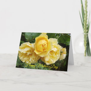 Yellow Roses Mother's Day Holiday Card