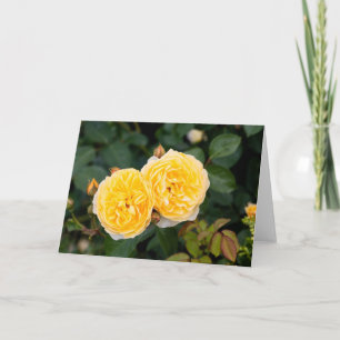 Yellow Roses Note  Card