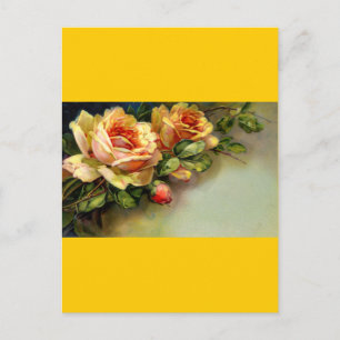 Yellow Roses Postcard