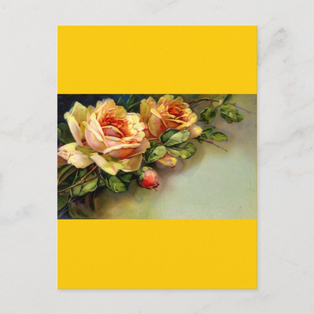 Yellow Roses Postcard (Front)