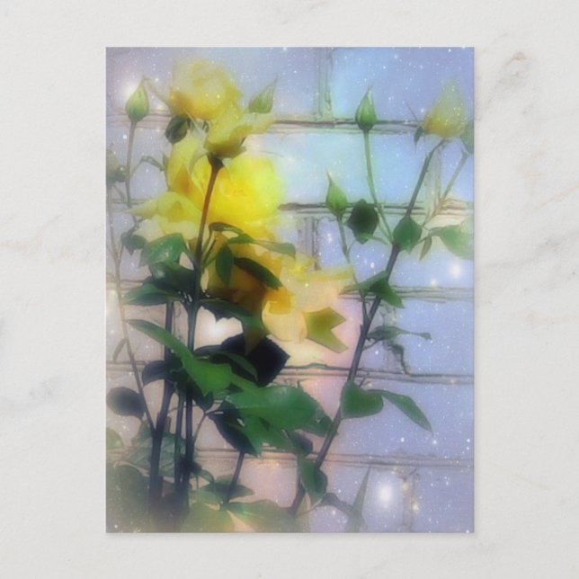 Yellow Roses Postcard (Front)