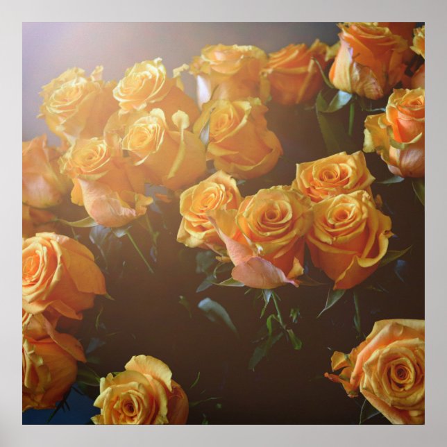 Yellow roses poster (Front)