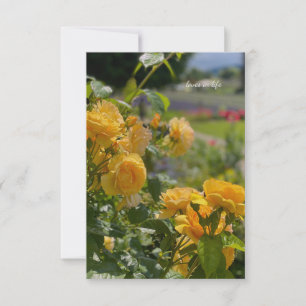 Yellow Roses, Red & Purple Garden Card