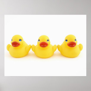 Yellow Rubber Ducks Poster