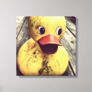 Yellow Rubber Ducky Needs a Bath! Canvas Print