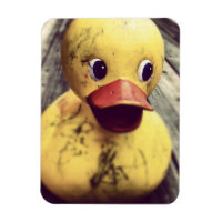Yellow Rubber Ducky Needs a Bath!
