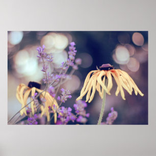 Yellow Rudbeckia And Purple Lavender Bokeh Poster