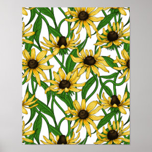Yellow Rudbekia on white Poster