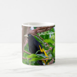 Yellow-rumped cacique coffee mug