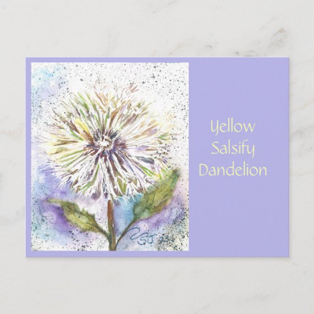 Yellow Salsify Dandelion Post Card (Front)