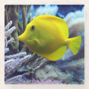 Yellow Saltwater Tang Fish Glass Coaster