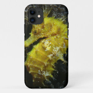 Yellow Seahorse   Hippocampus Guttulatus Case-Mate iPhone Case