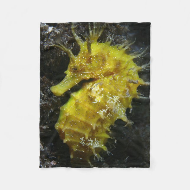 Yellow Seahorse | Hippocampus Guttulatus Fleece Blanket (Front)