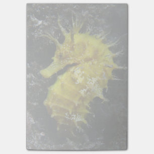 Yellow Seahorse   Hippocampus Guttulatus Post-it Notes