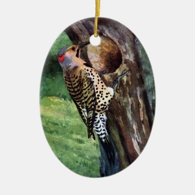 Yellow-shafted Flicker and Tree Cavity Ceramic Tree Decoration (Front)