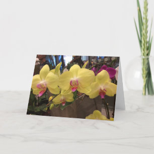 Yellow Singapore orchid greeting card
