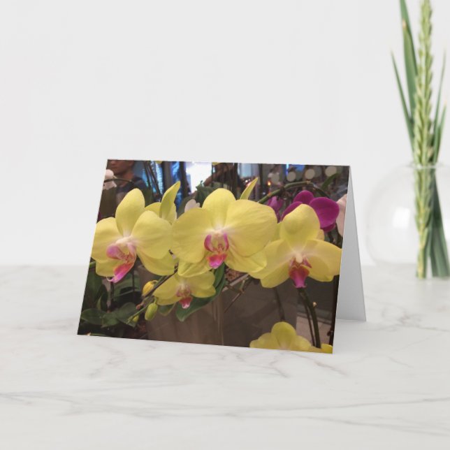 Yellow Singapore orchid greeting card (Front)