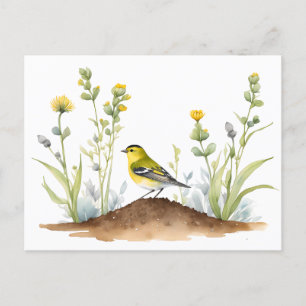 Yellow Songbird & Wildflowers – Goldfinch Postcard