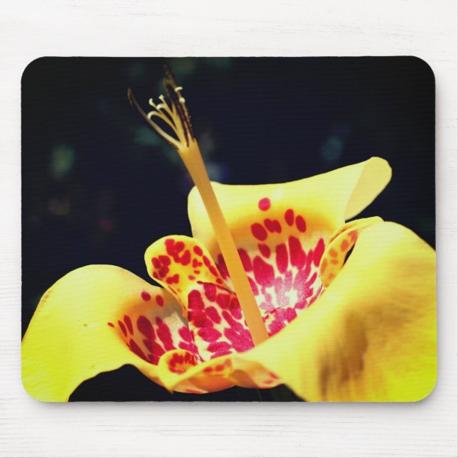 Yellow Spotted Lily Flower  Mouse Pad (Front)