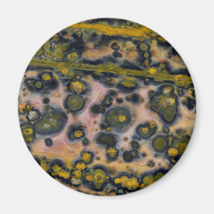 Yellow spotted Ocean Jasper Magnet