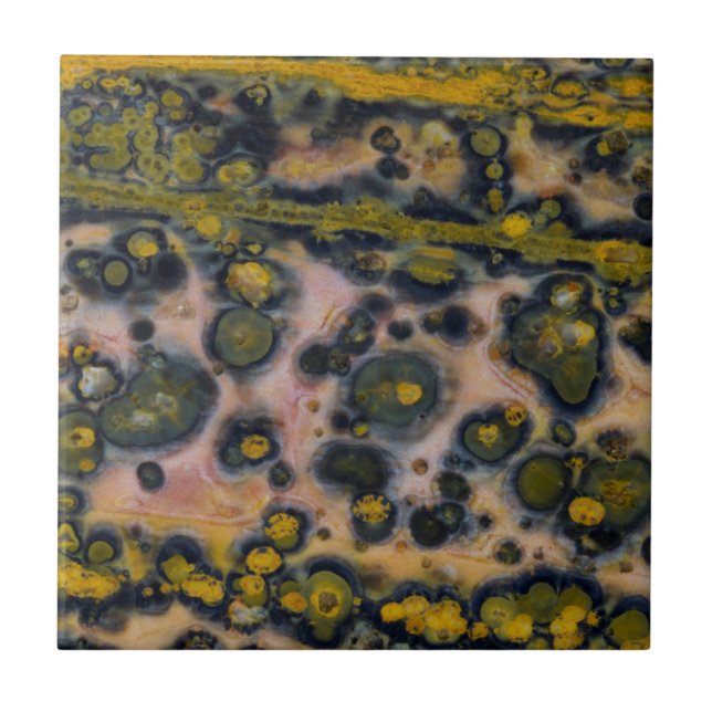 Yellow spotted Ocean Jasper Tile (Front)