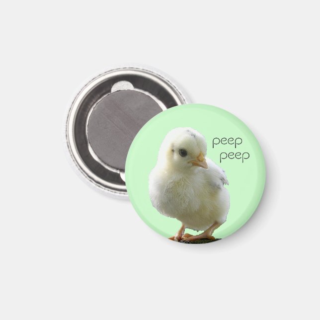 Yellow Spring Chick Button Magnet (Front/Back)
