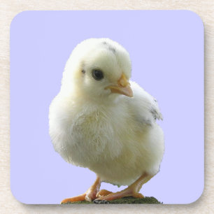 Yellow Spring Chick Coaster