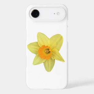 Yellow Spring Daffodil