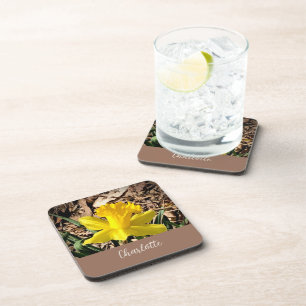 Yellow Spring Daffodil in the Garden Custom Name Coaster