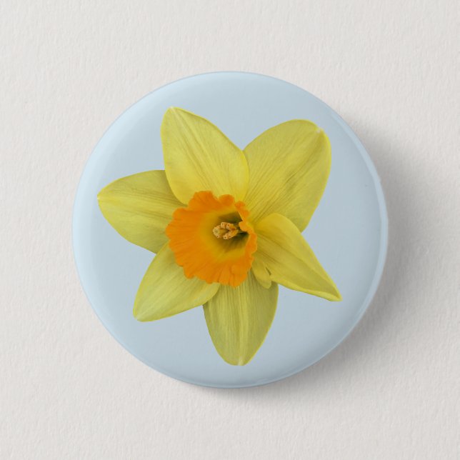 Yellow Spring Daffodil on Pale Blue 6 Cm Round Badge (Front)