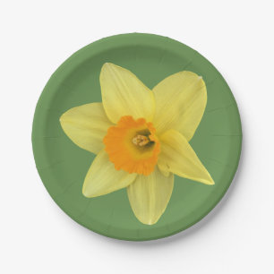 Yellow Spring Daffodil Paper Plate