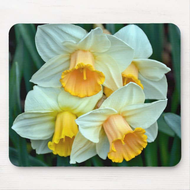 Yellow spring daffodils mouse pad (Front)