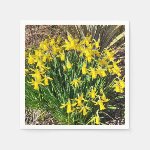 Yellow Spring Daffodils Paper Napkin