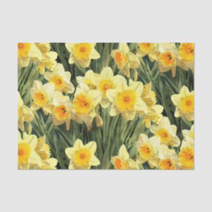 Yellow Spring Daffodils Tissue Paper