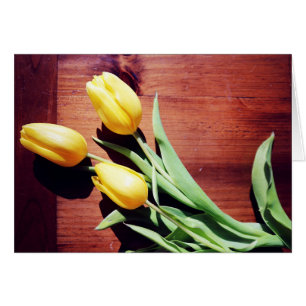 Yellow Spring Tulips