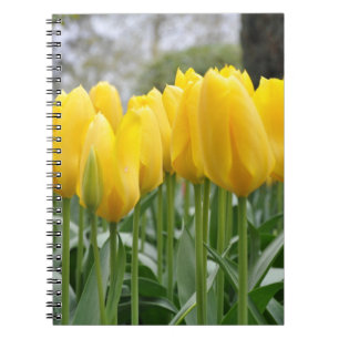 Yellow spring tulips notebook