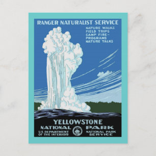 Yellow Stone Park - Old Faithful Geyser Postcard