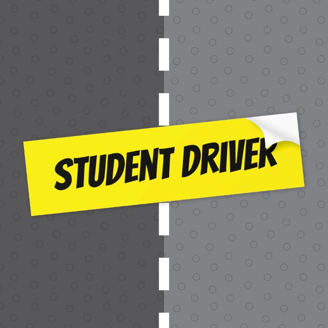 Yellow Student Driver Bumper Sticker Black Letters (Yellow student driver warning bumper sticker with black bold lettering .)