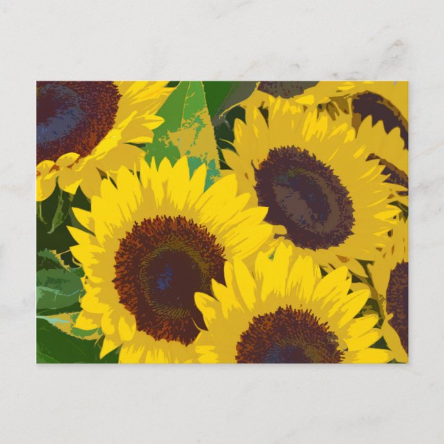 Yellow summer sunflowers postcard (Front)